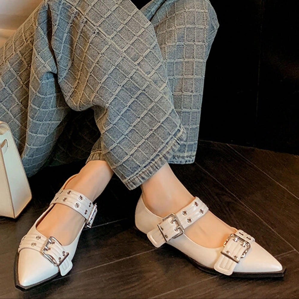 Vintage Mary Jane Shoes With French Pointed Toe And Chunky Heels For Women, Perf - Picture 6 of 7